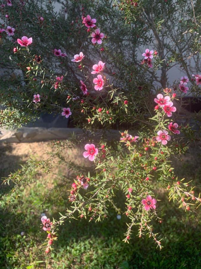 סנטה מרגריטה ליגורה B&B Monte Di Portofino מראה חיצוני תמונה